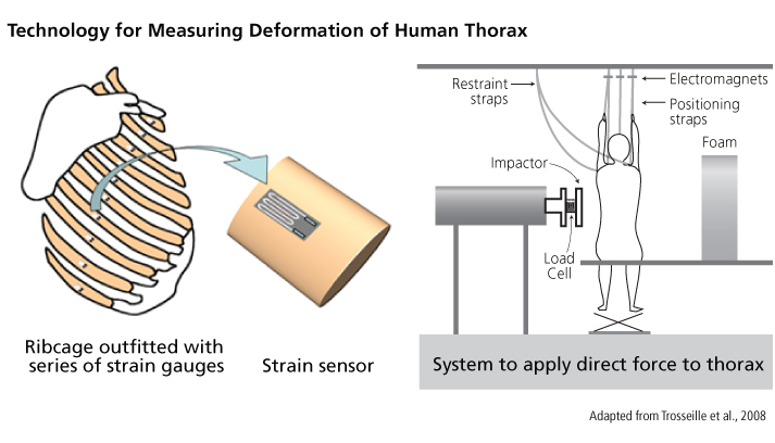 technology for measuring deformation of Human Thorax