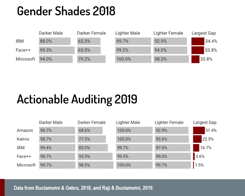 gender shades 2018 data from IBM research dataset