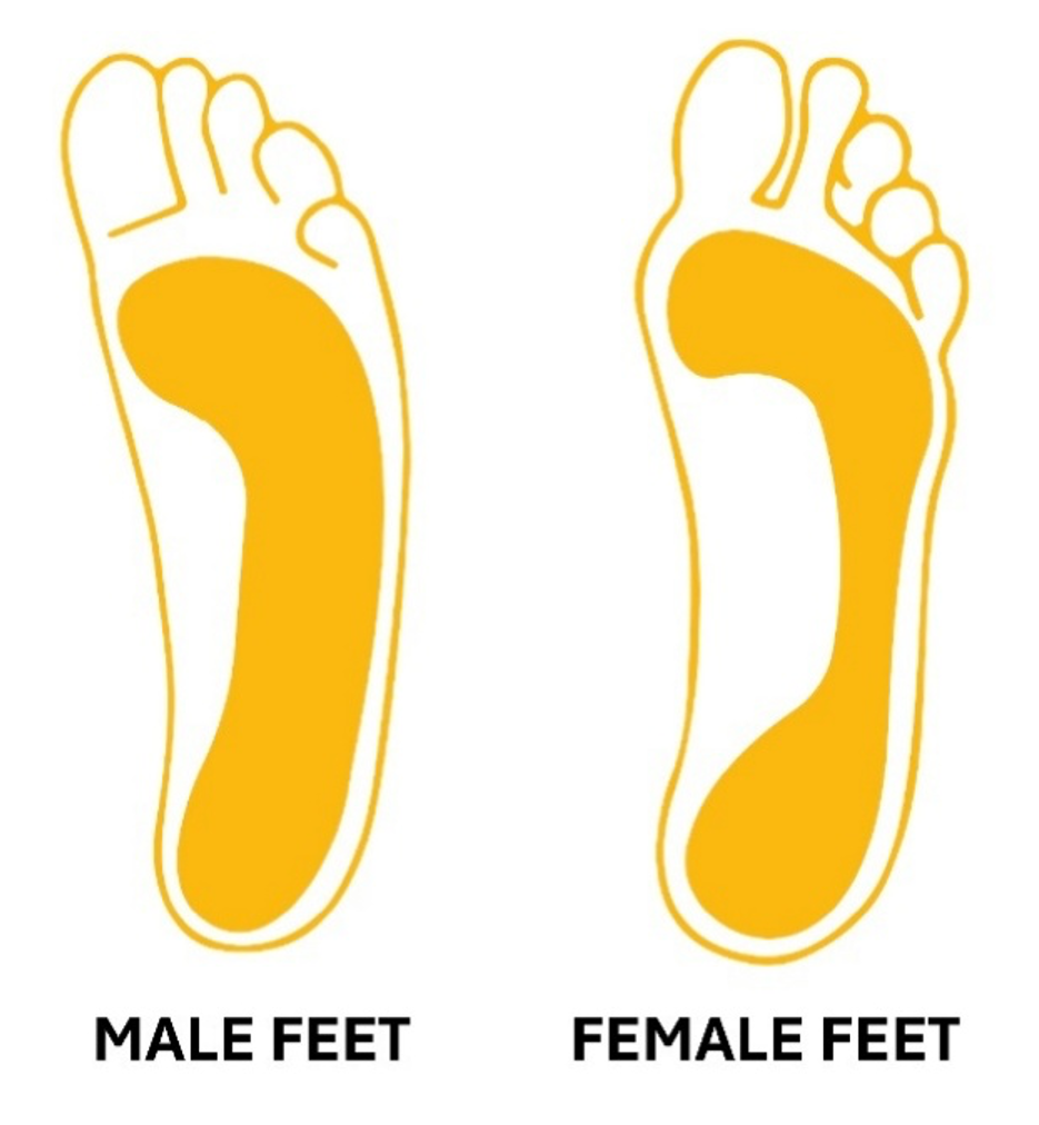 male feet shape vs female feet