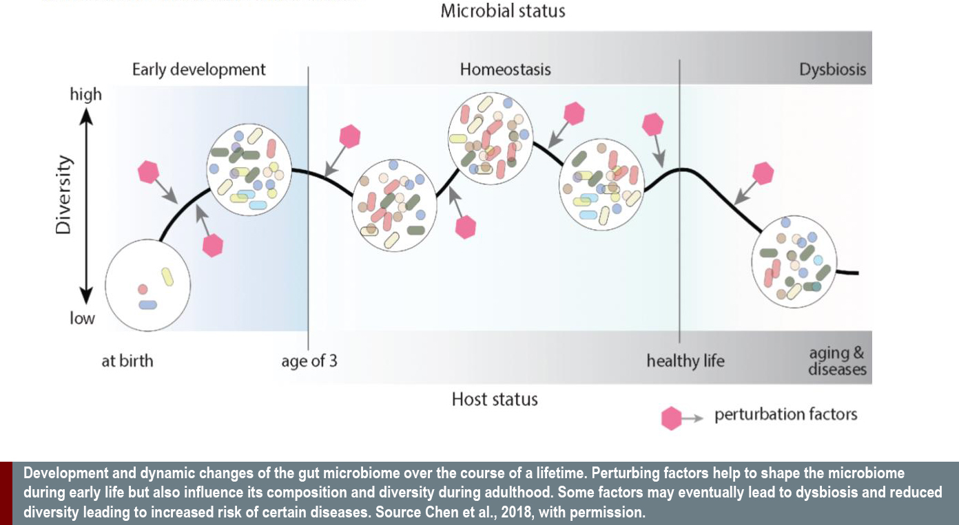 microbial status through age by diversity.