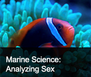 marine science  tile picture