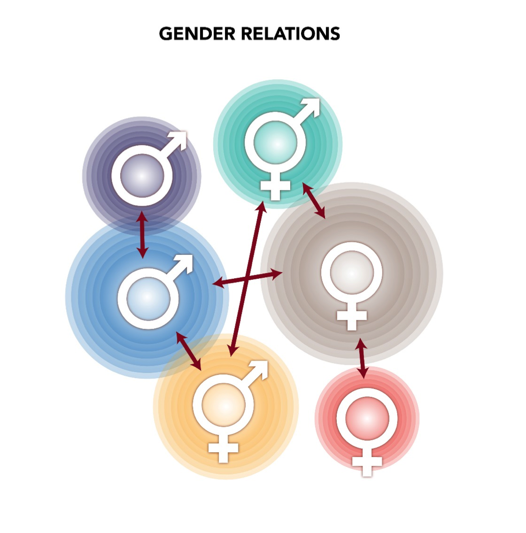gender role behaviors and attitudes