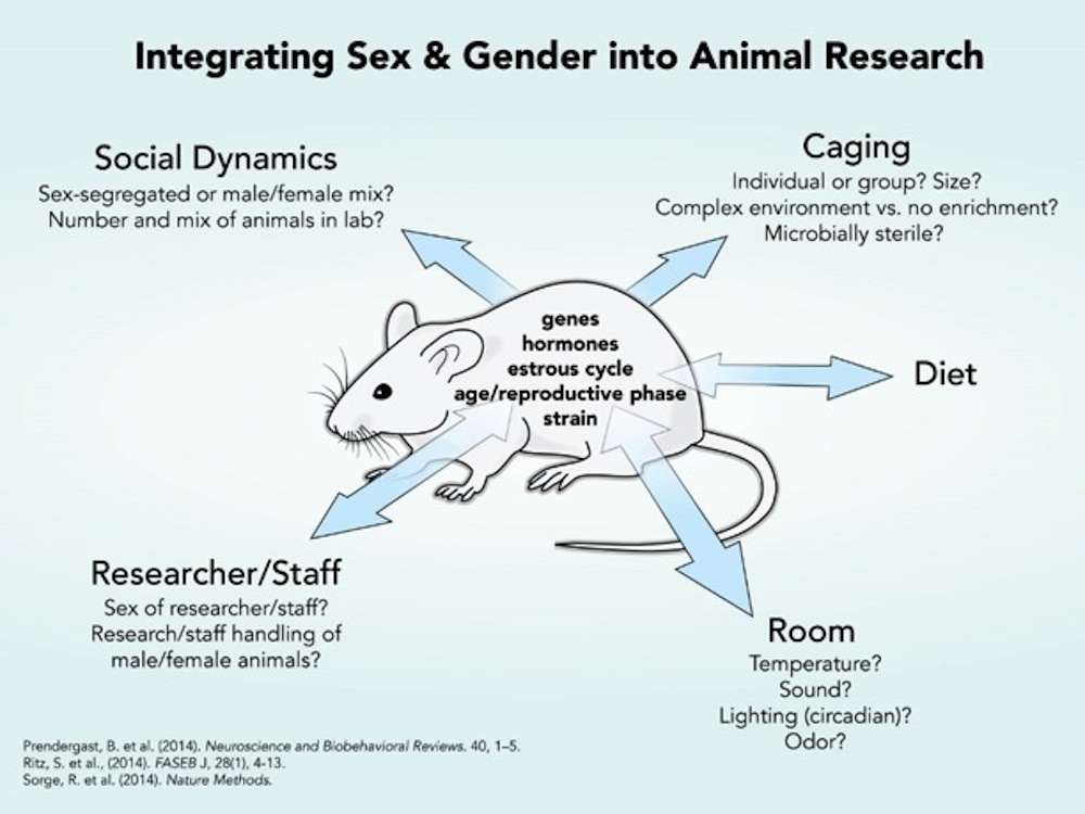 Animal Research | Gendered Innovations