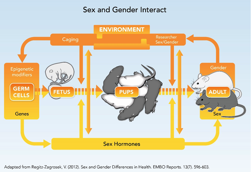 sex and lab environment interact