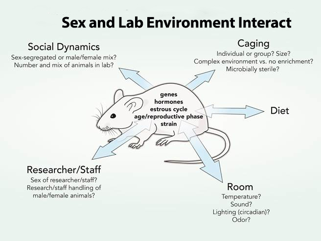 integrating sex and Gender into Animal research