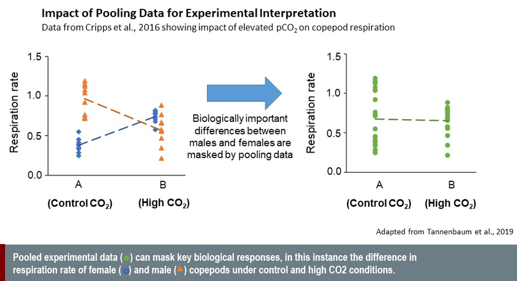 impact of pooling data for experiment interruption 