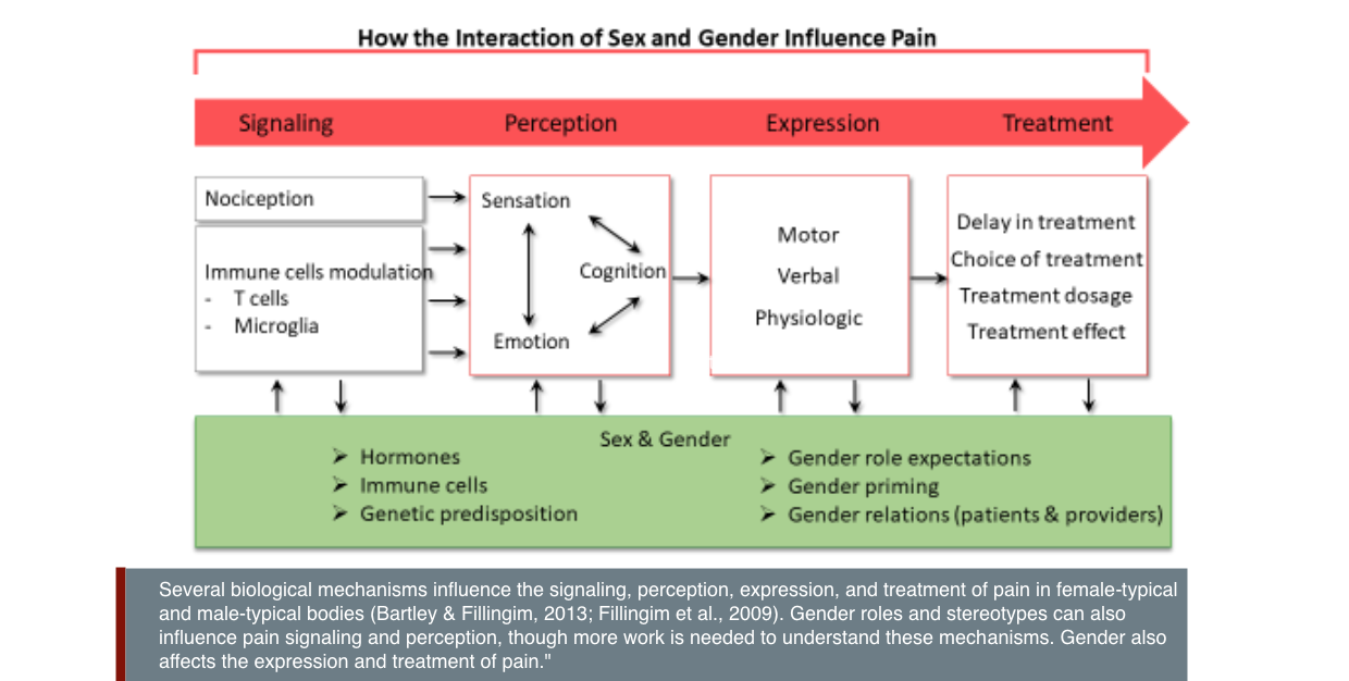 Several biological mechanisms influence the signaling, perception, expression, and treatment of pain in female-typical and male-typical bodies (Bartley & Fillingim, 2013; Fillingim et al., 2009). Gender roles and stereotypes can also influence pain signaling and perception, though more work is needed to understand these mechanisms. Gender also affects the expression and treatment of pain.