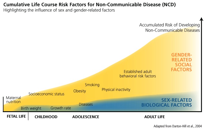 Cumulative Life Course risk factors for Non-communicable Disease (NCD)