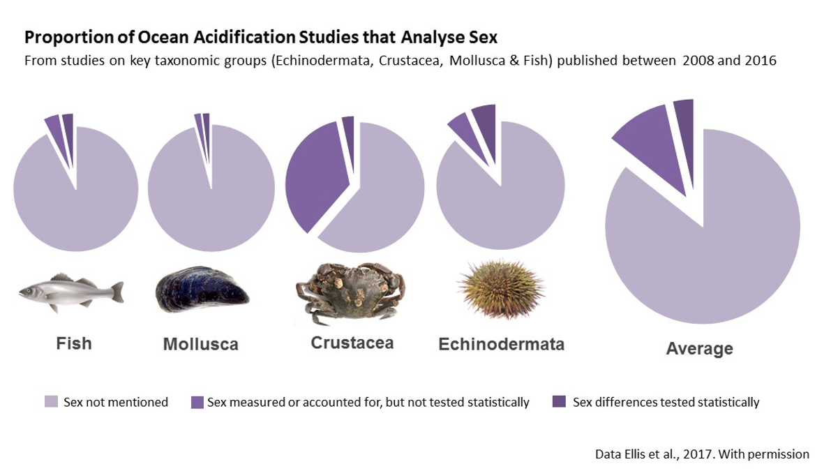 proportion of Ocean Acidification Studies that analyze Sex