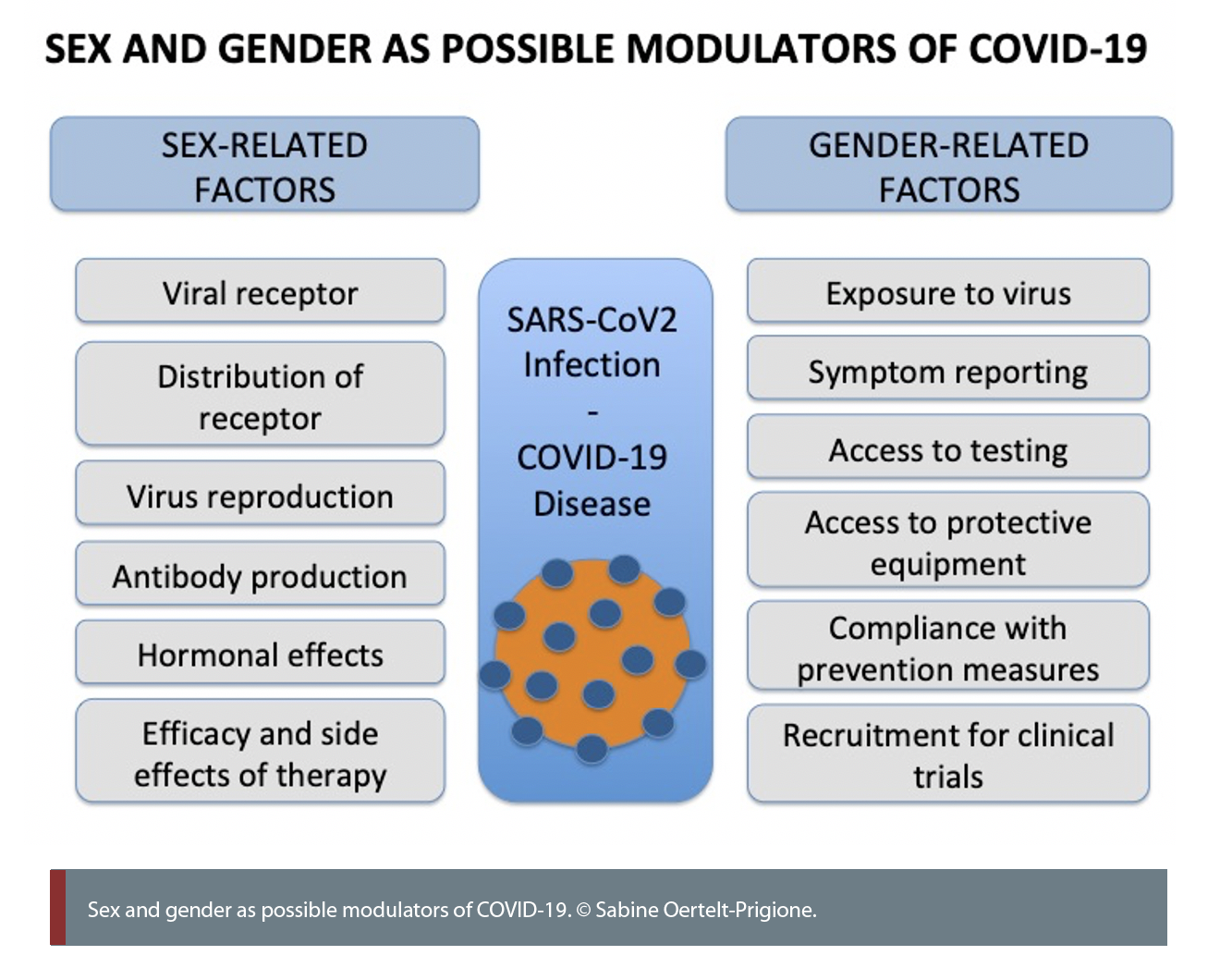 sex and gender as possible modulators of Covid 19